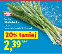 Lidl Cebula dymka oferta