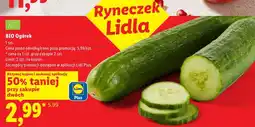 Lidl Ogórek BIO oferta