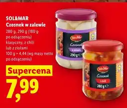 Lidl Czosnek w zalewie z ziołami oferta
