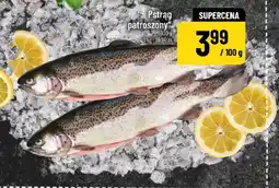 Polomarket Pstrag patroszony oferta