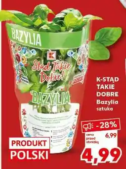Kaufland K-STĄD TAKIE DOBRE Bazylia sztuka oferta