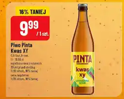 Polomarket Piwo Pinta Kwas XY oferta
