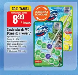 Polomarket Zawieszka do WC Domestos Power5 oferta