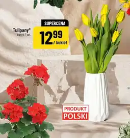 Polomarket Tulipany oferta