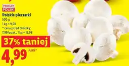Lidl Polskie pieczarki oferta