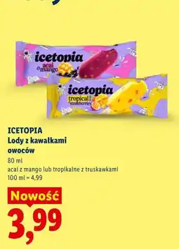Lidl ICETOPIA Lody z kawałkami owoców oferta