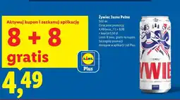 Lidl Żywiec Jasne Pełne oferta