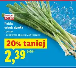 Lidl Polska cebula dymka oferta