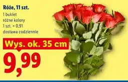 Lidl Róże, 11 szt oferta