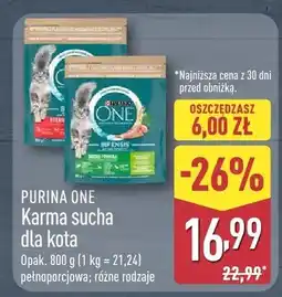 ALDI Karma sucha dla kota oferta