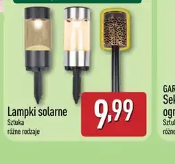 ALDI Lampki solarne oferta