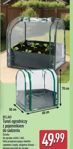 ALDI BELAVI Tunel ogrodniczy z pojemnikiem oferta