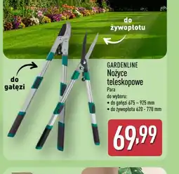 ALDI Gardenline Nożyce teleskopowe oferta