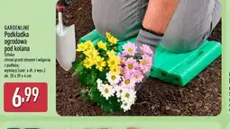 ALDI GARDENLINE Podkładka ogrodowa pod kolana oferta