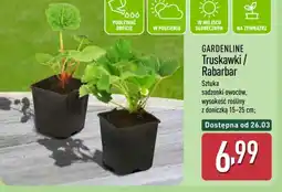 ALDI Gardenline Truskawki / Rabarbar oferta