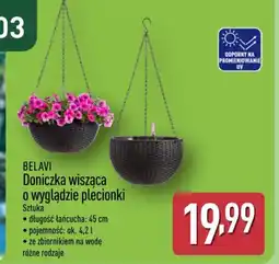 ALDI Doniczka wisząca Belavi oferta