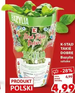 Kaufland Bazylia oferta