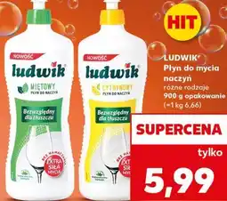 Kaufland Płyn do mycia naczyń LUDWIK oferta