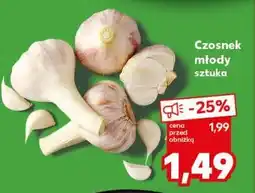 Kaufland Czosnek młody sztuka oferta