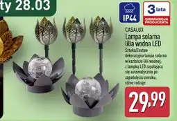 ALDI Casalux Lampa solarna lilia wodna LED oferta