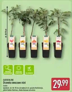 ALDI Gardenline Drzewko owocowe mini oferta