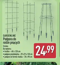 ALDI Gardenline Podpora do roślin pnących oferta