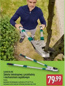ALDI GARDENLINE Sekator teleskopowy oferta