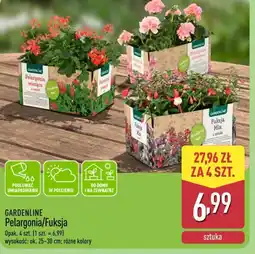 ALDI Gardenline Pelargonia/Fuksja oferta