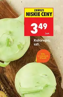 Biedronka Kalarepa oferta