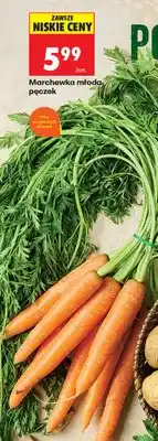 Biedronka Marchewka młoda pęczek oferta