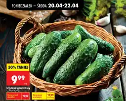 Biedronka Ogórek gruntowy oferta