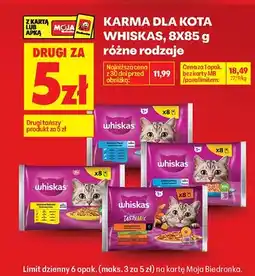 Biedronka Karma dla kota różne rodzaje oferta