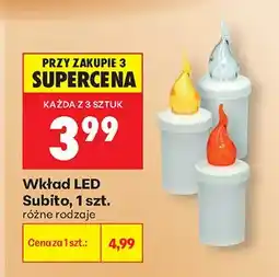 Biedronka Wkład LED Subito, różne rodzaje oferta