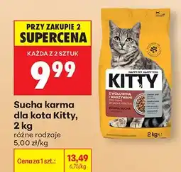 Biedronka Sucha karma dla kota oferta