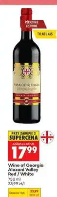 Biedronka Wino Alazani Valley Red / White oferta
