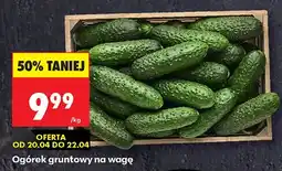 Biedronka Ogórek gruntowy na wagę oferta