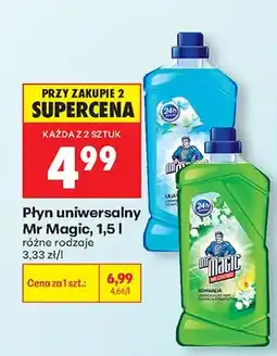 Biedronka Płyn uniwersalny Mr Magic różne rodzaje oferta