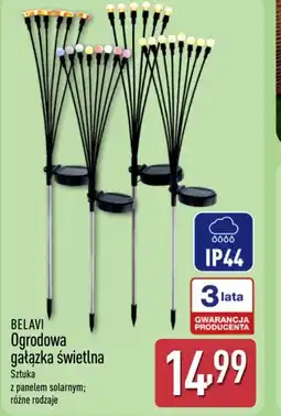 ALDI Belavi Ogrodowa gałązka świetlna oferta