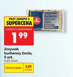Biedronka Zmywak kuchenny oferta
