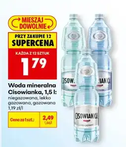 Biedronka Woda mineralna niegazowana oferta