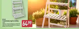 ALDI Belavi regał na rośliny oferta