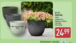 ALDI Belavi Doniczka oferta