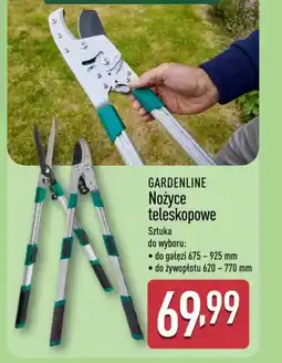 ALDI Nożyce teleskopowe Gardenline oferta