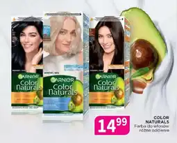 Drogerie Polskie Color naturals farba do włosów oferta