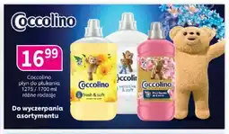 Drogerie Polskie Coccolino płyn do płukania oferta