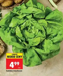 Biedronka Sałata masłowa 1 szt oferta