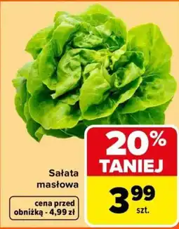 Carrefour Sałata masłowa oferta