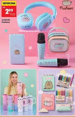 Biedronka Artykuły Pusheen oferta
