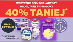 Netto Wszystkie sery bez laktozy oferta