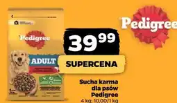 Netto Sucha karma dla psów Pedigree oferta